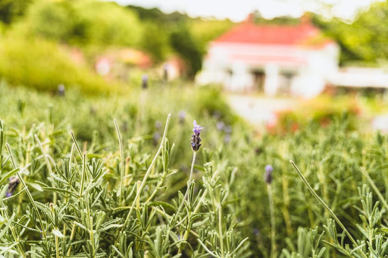 Daylesford Spa Accommodation Exterior foto